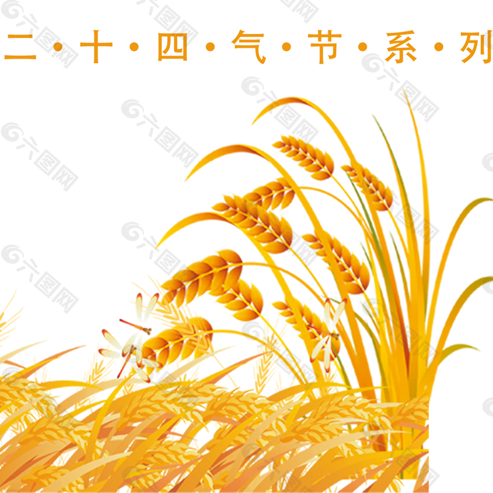 金色小麦小满装饰元素