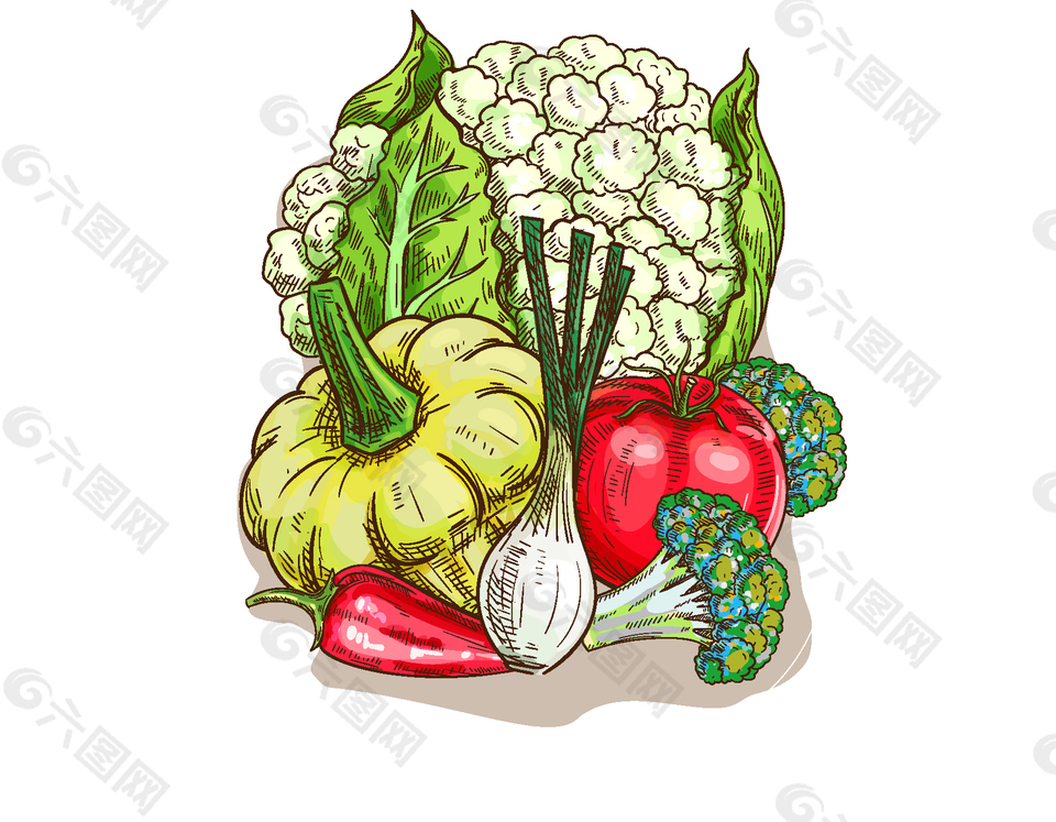卡通绘画蔬菜矢量元素