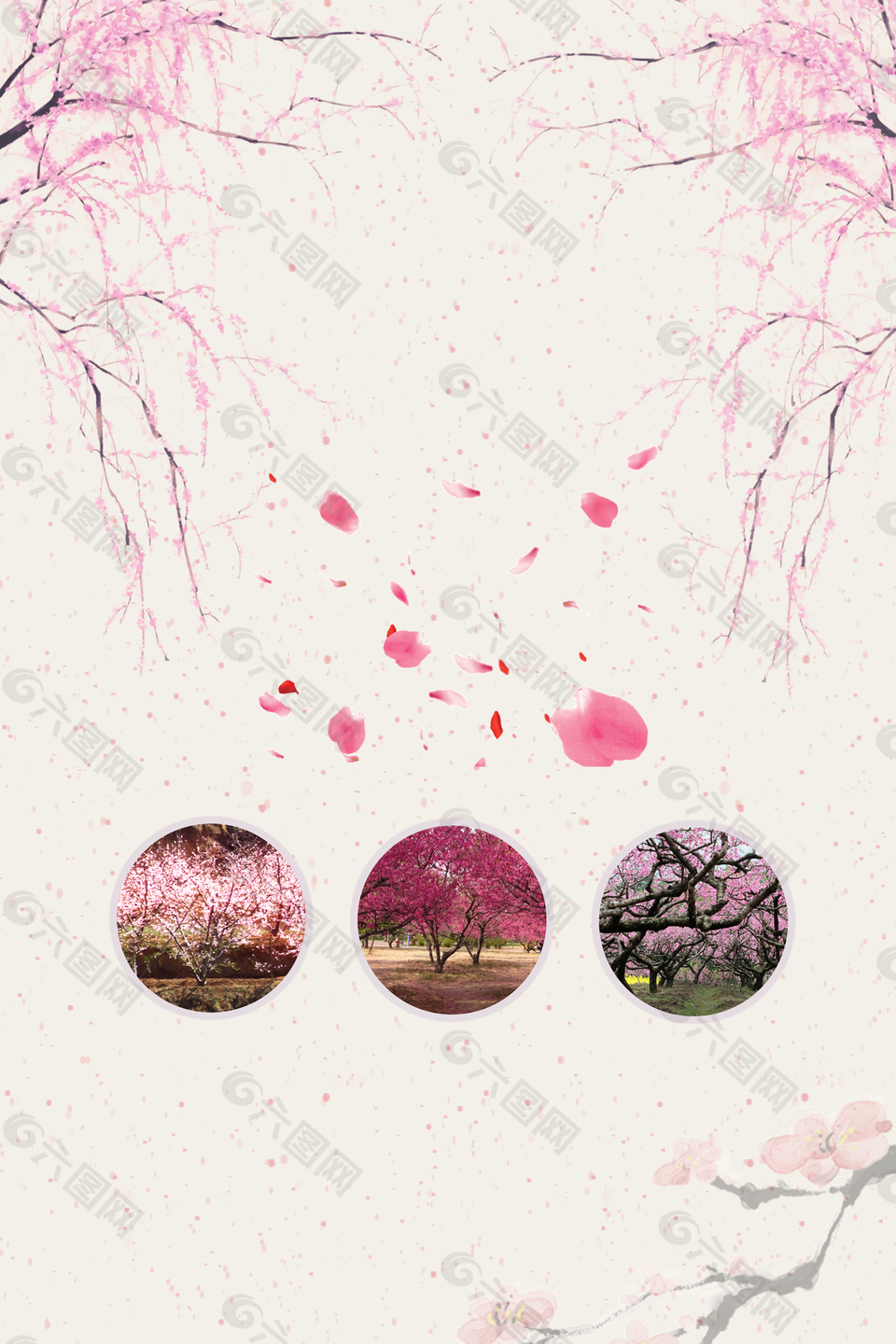 桃花樱花粉色花瓣飘落枝条背景