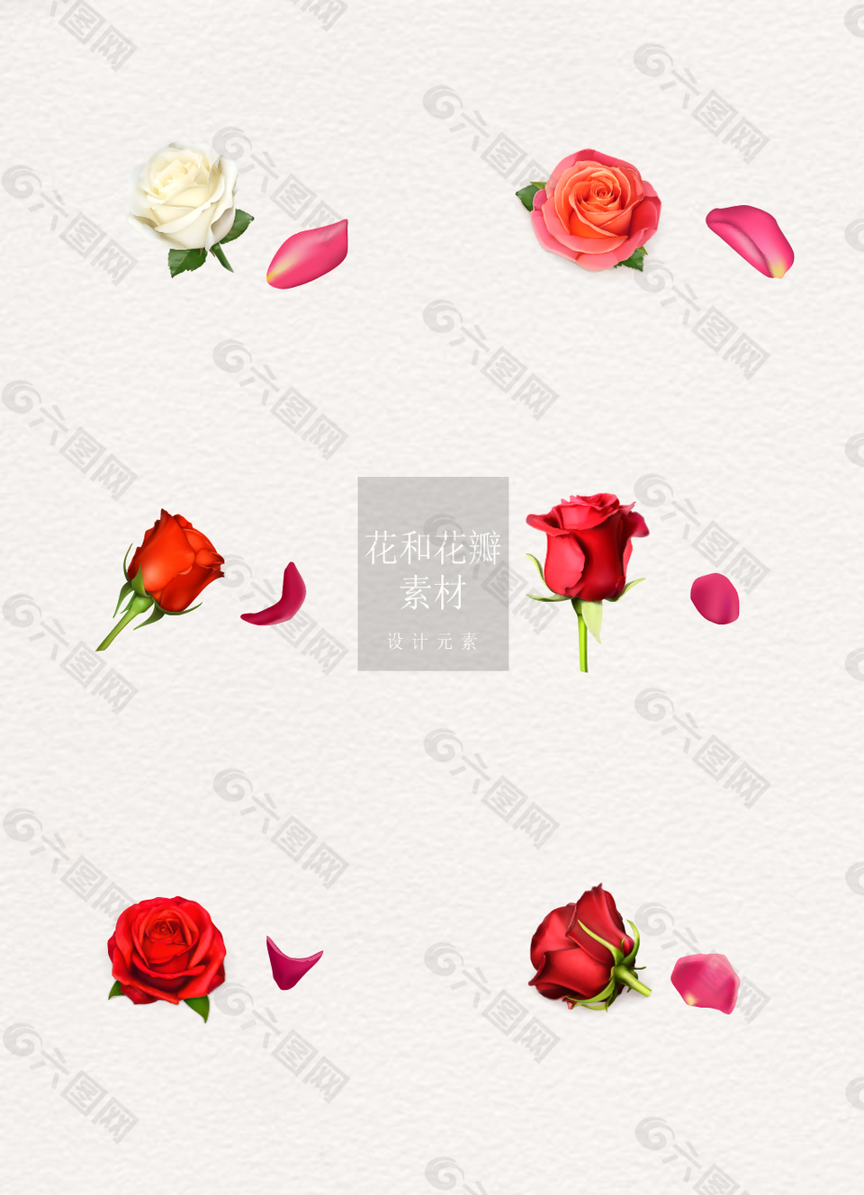 花和花瓣玫瑰ai矢量元素