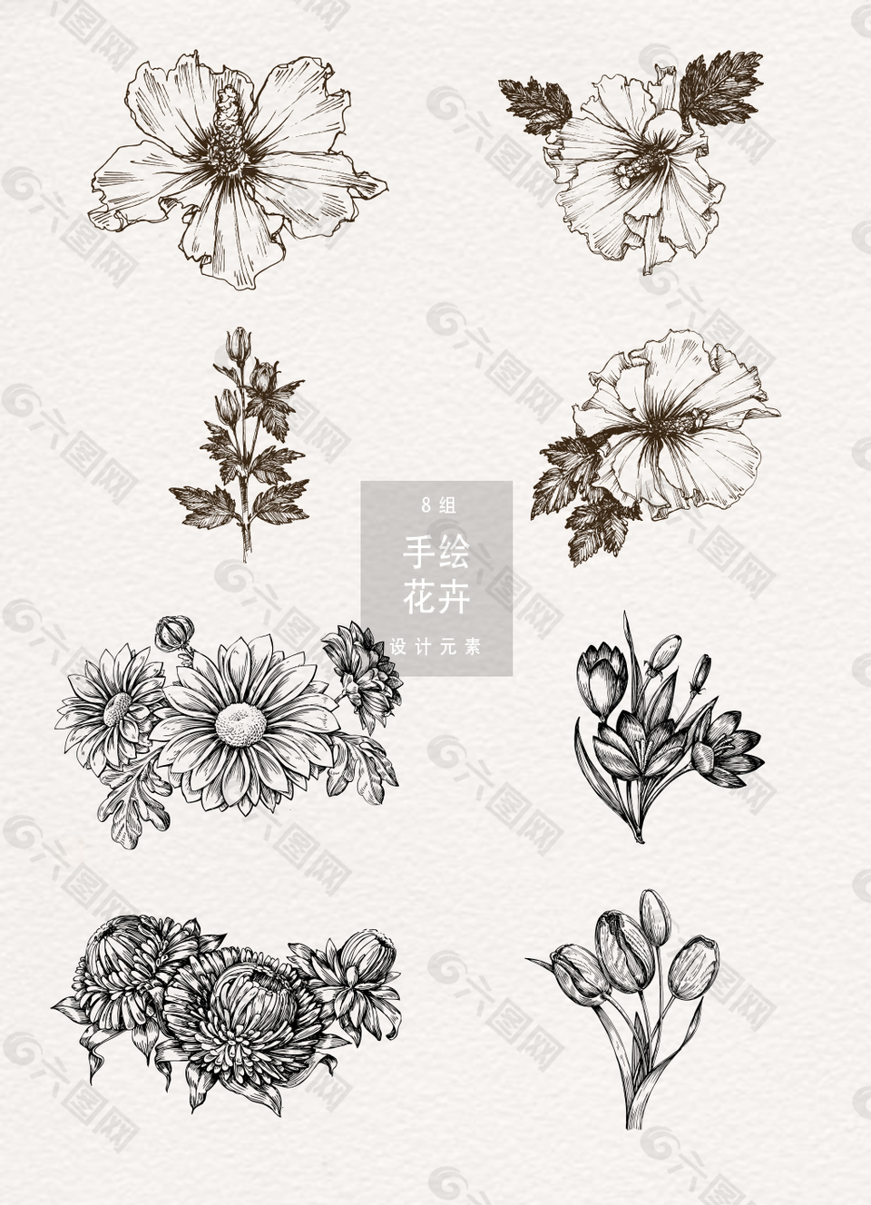 手绘线性花卉元素素材