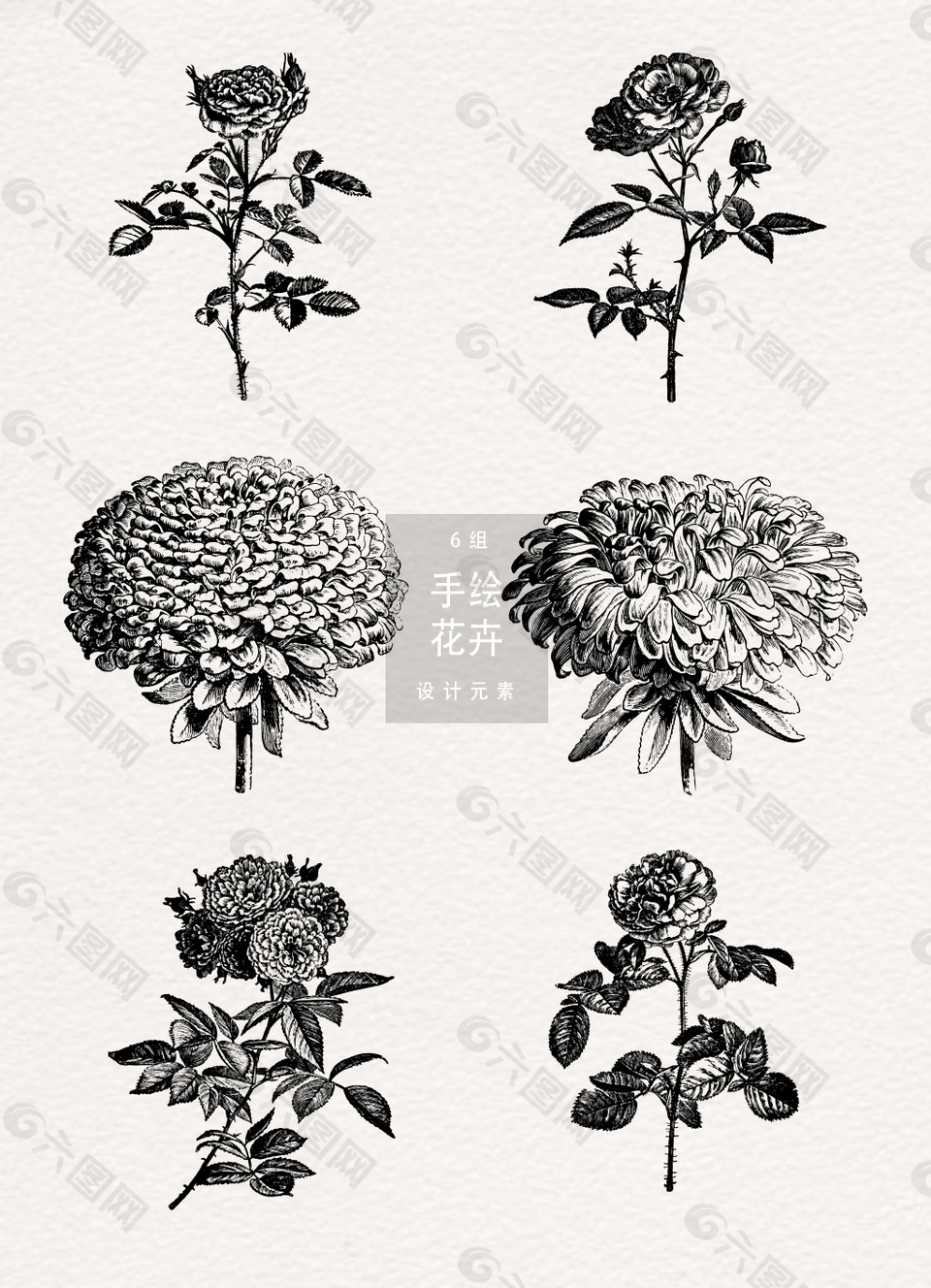 黑白手绘花朵素材