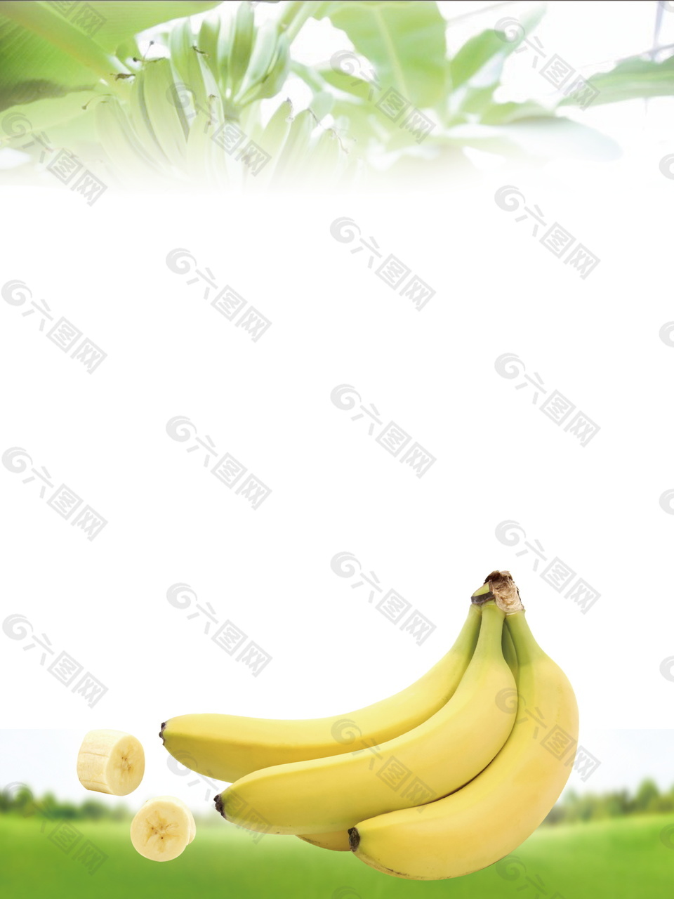 清新香蕉海报背景素材