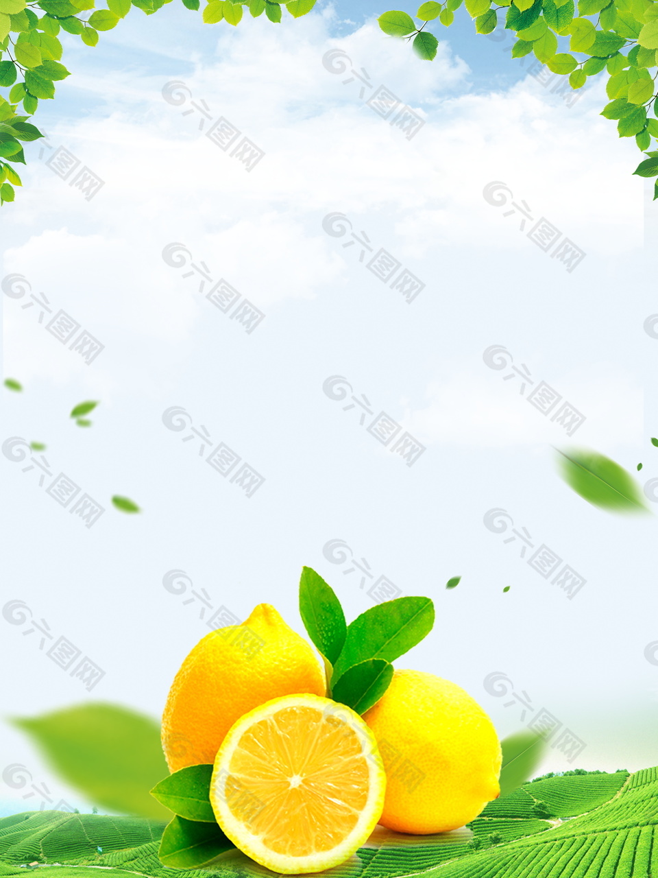 清新树叶柠檬海报背景设计