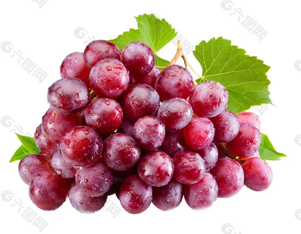 葡萄水果图案元素