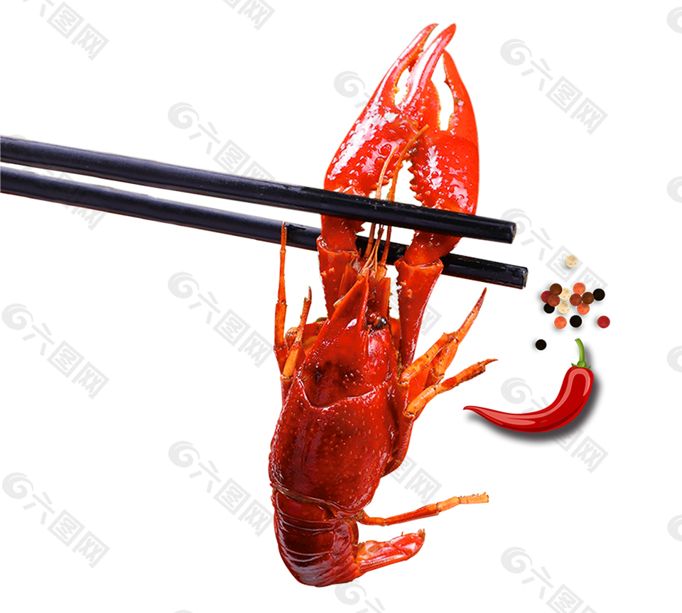 筷子夹着红色小龙虾元素