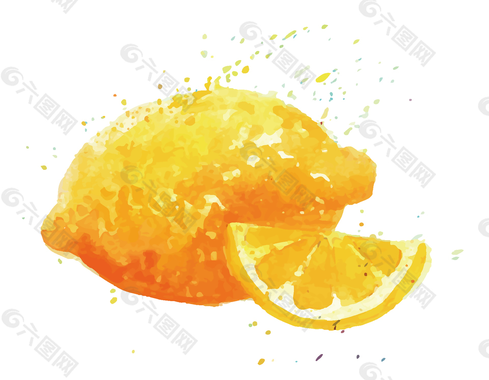 手绘水彩柠檬切片矢量图