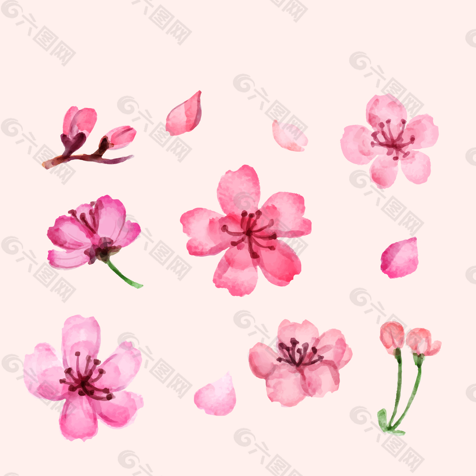 粉色水彩绘桃花插画