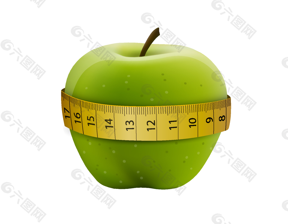 手绘新鲜绿色苹果直径矢量图
