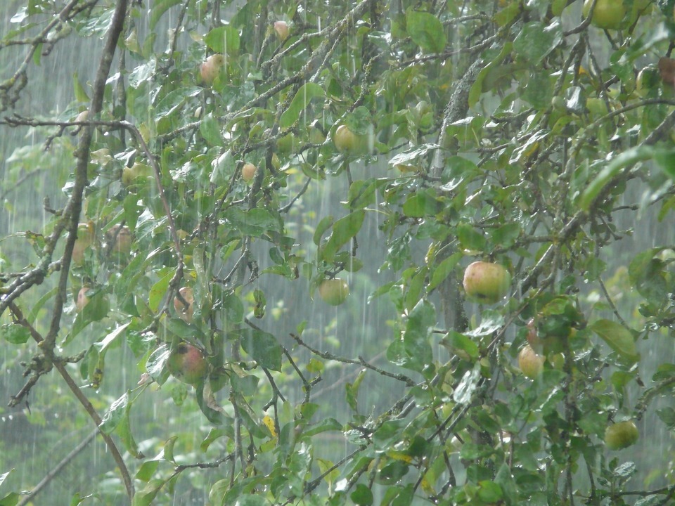 颳風下雨的聲音視頻音效素材免費下載(圖片編號:9240457)-六圖網