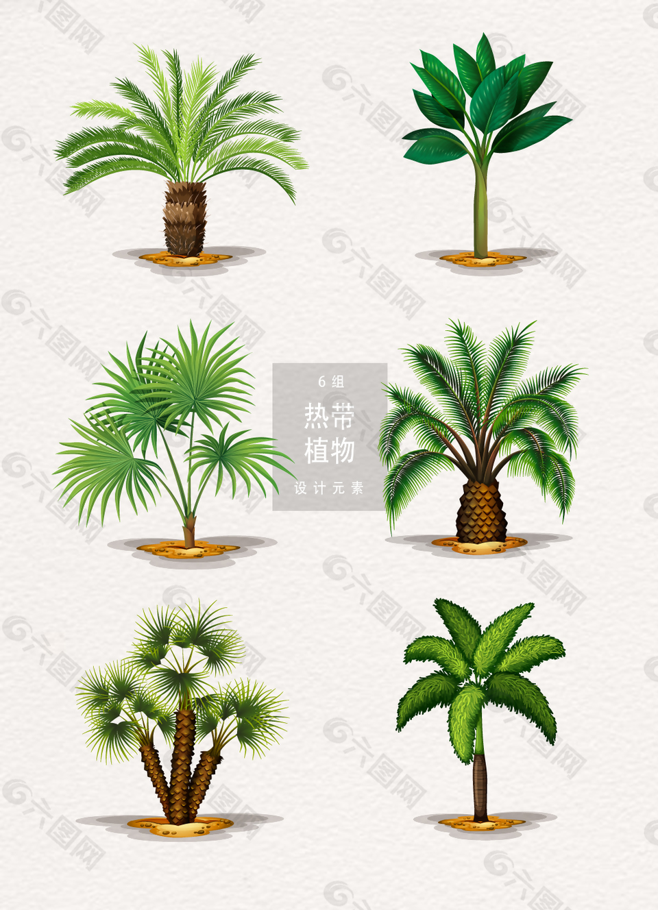 手绘热带植物树木