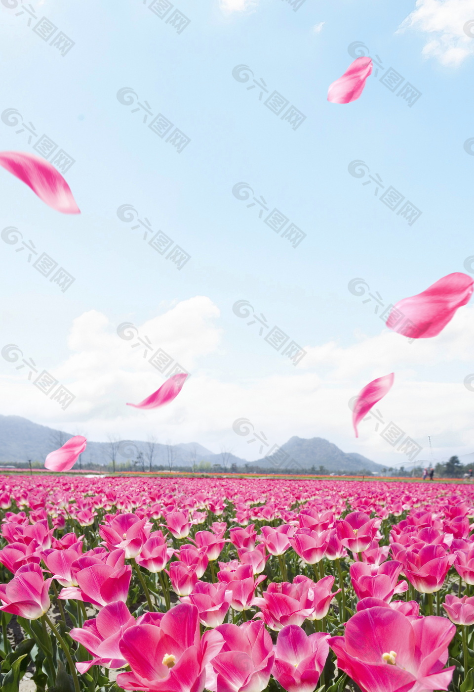 唯美粉色花瓣花海海报背景设计背景素材免费下载 图片编号 六图网