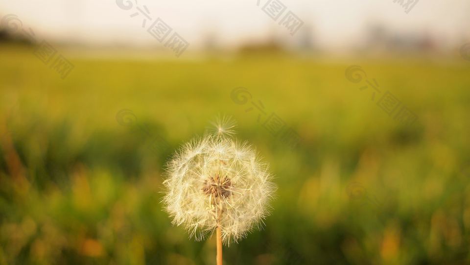 振奋推进音效背景音效