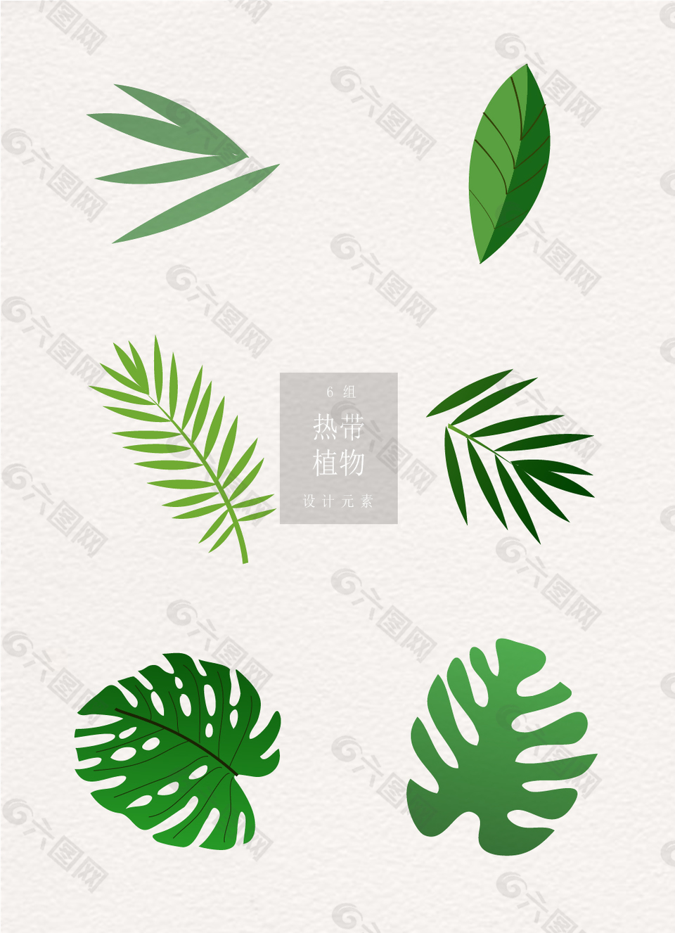 热带植物矢量元素树叶卡通