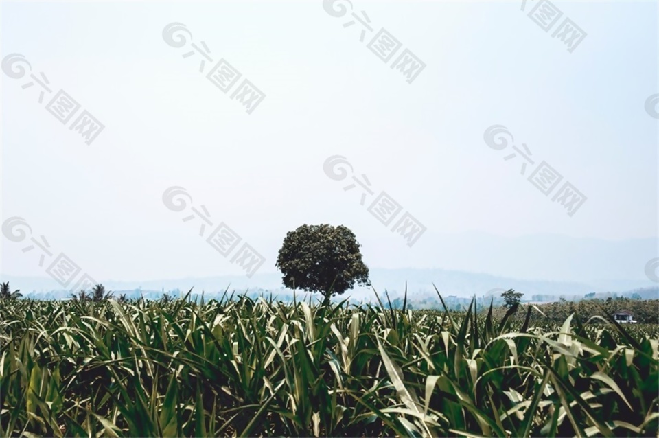 紧张大气轻松背景音效素材