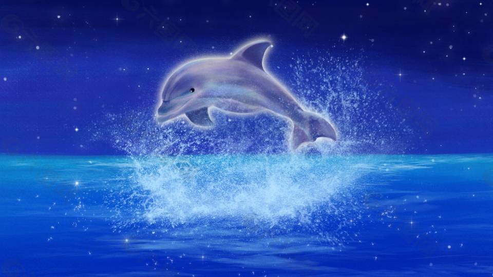 蓝色海洋海豚背景素材背景素材免费下载 图片编号 六图网