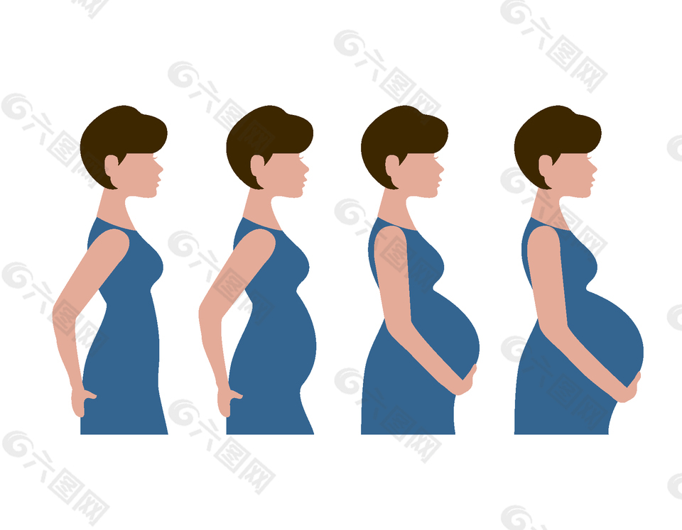 孕期腹部变化图图片