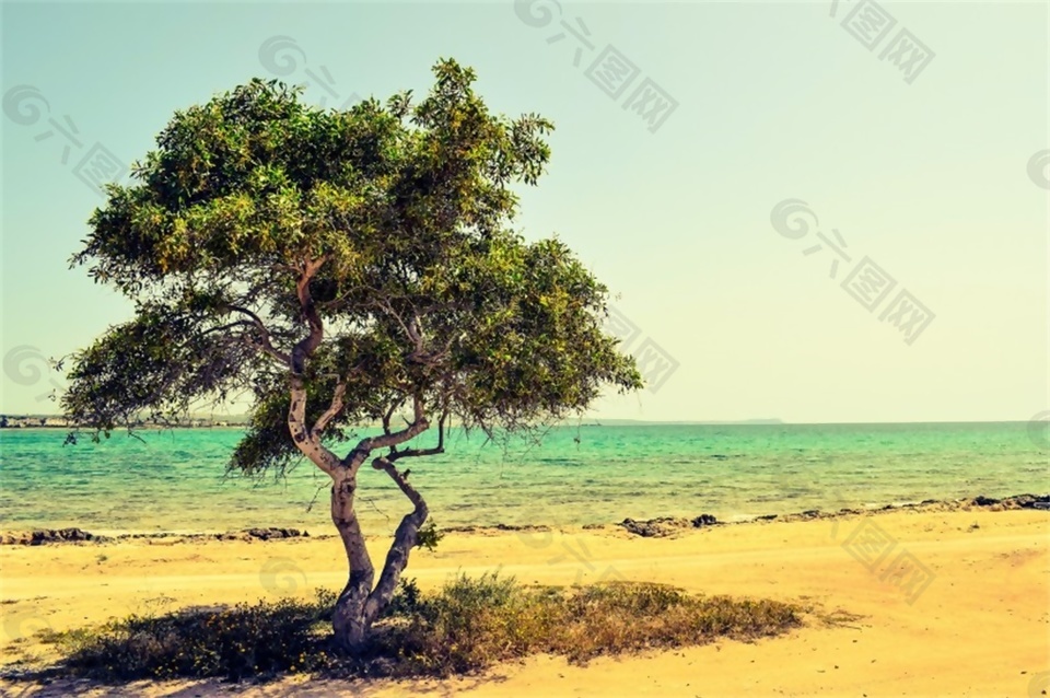 舒心抒情音乐音效素材