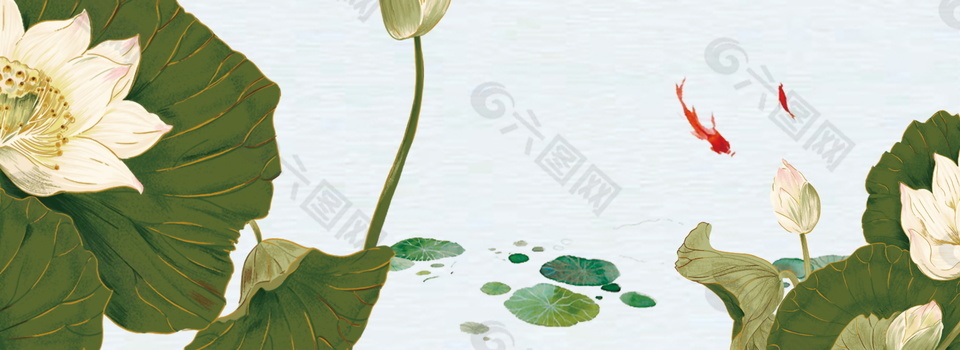墨绿荷叶白色花朵夏至节气背景素材