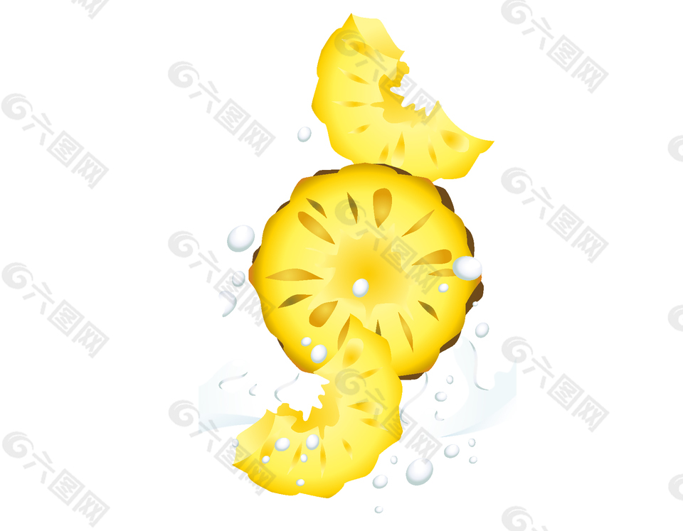 新鲜水果菠萝切片矢量图