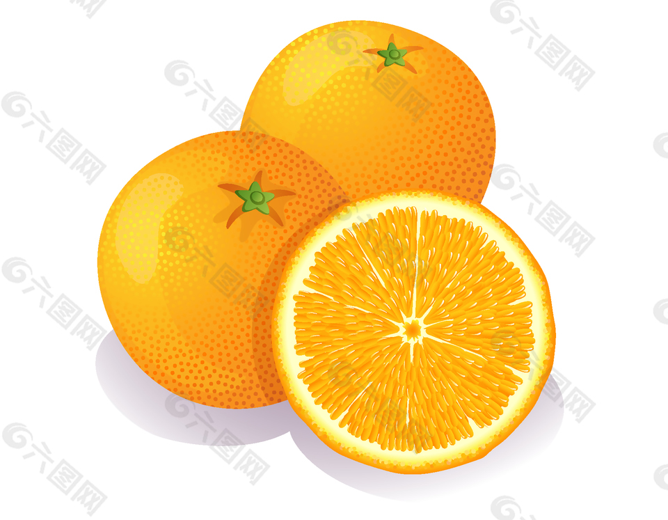 矢量黄色橙子元素