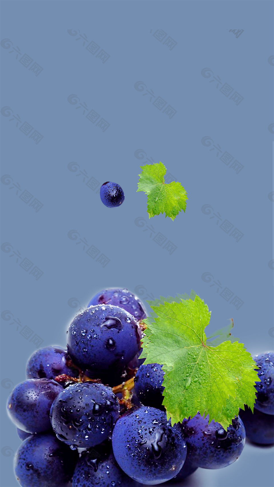 蓝色葡萄文艺天然水果背景
