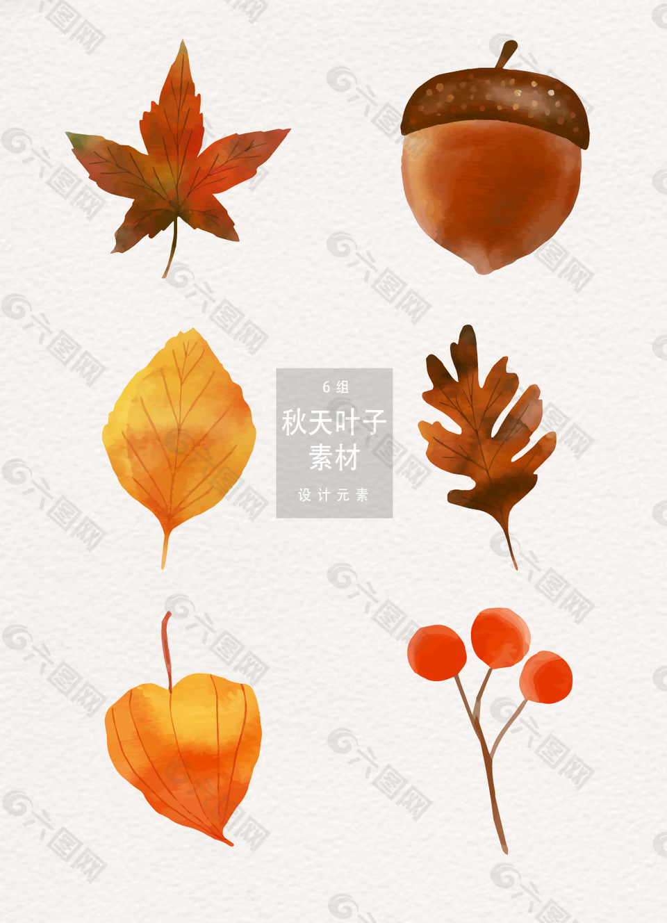 手绘秋天枫叶叶子素材