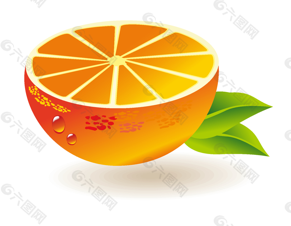 新鲜水果橙子切片