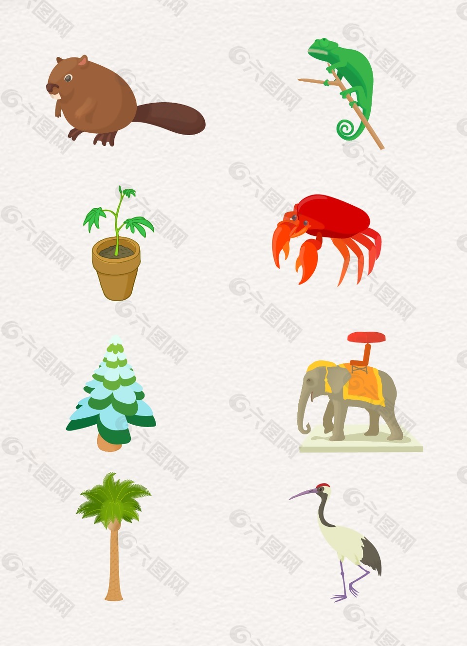 动物螃蟹植物设计