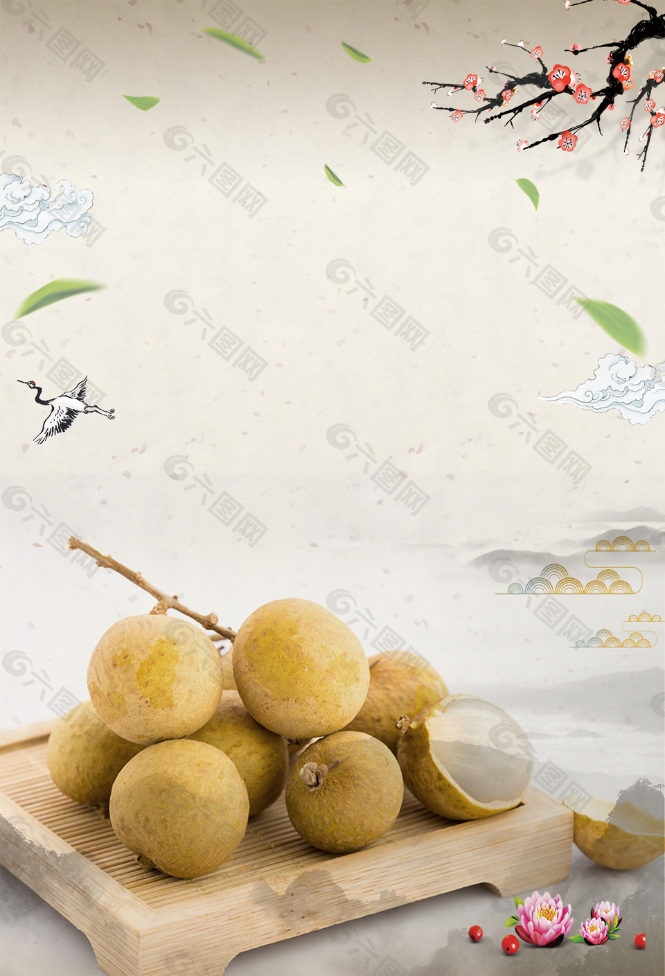 简约水果美味桂圆背景