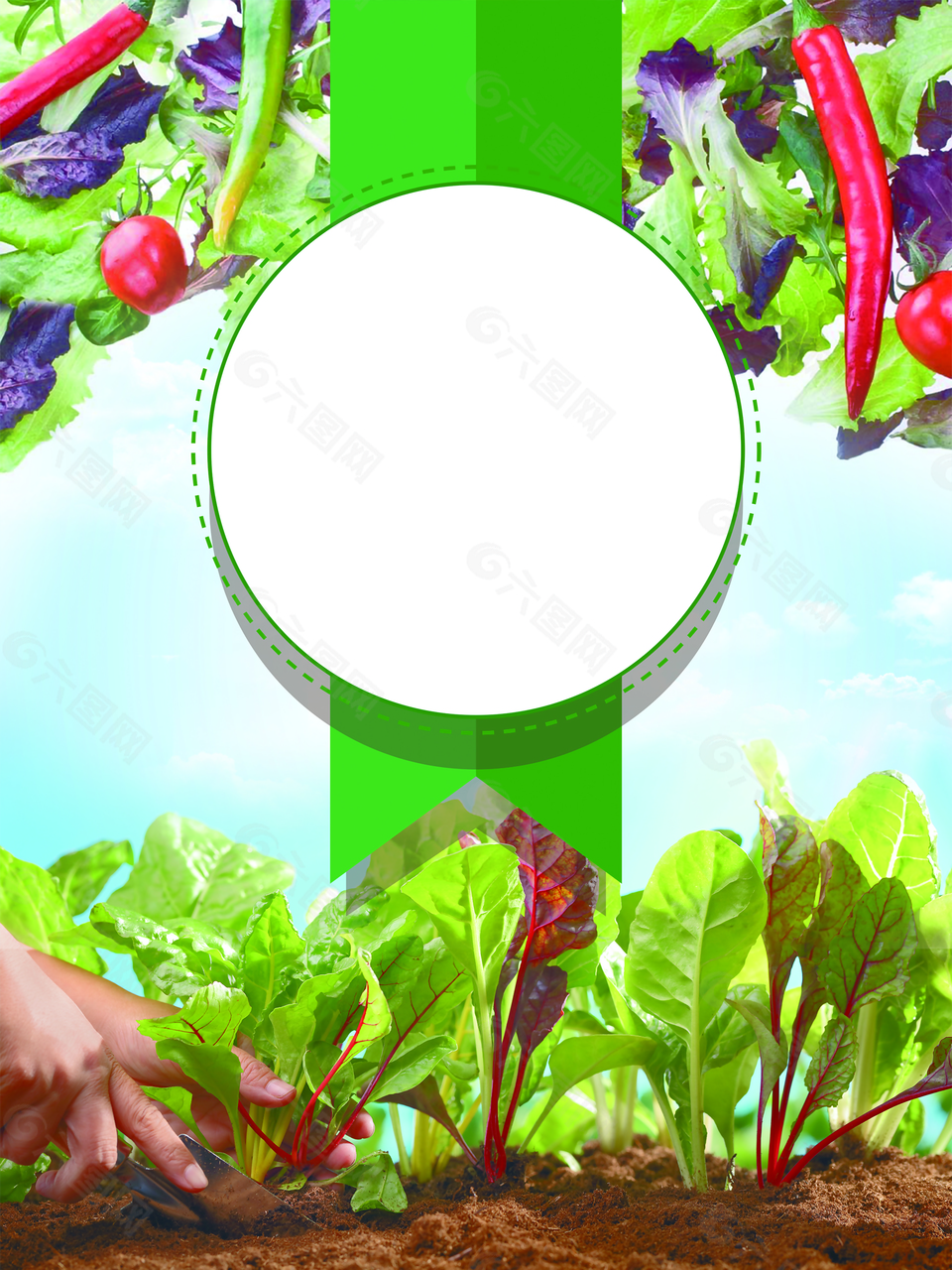 矢量创意绿色蔬菜海报背景
