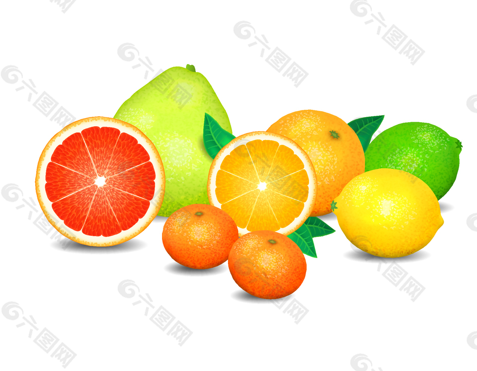卡通彩色水果营养元素