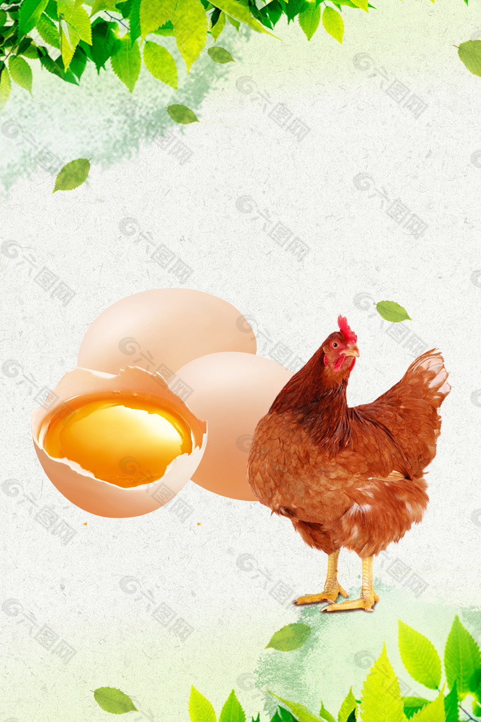 绿叶母鸡与土鸡蛋背景素材