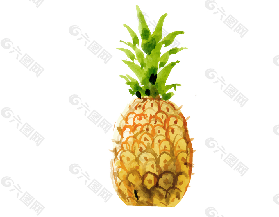 矢量菠萝水彩画