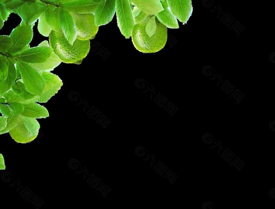 绿色树叶装饰素材