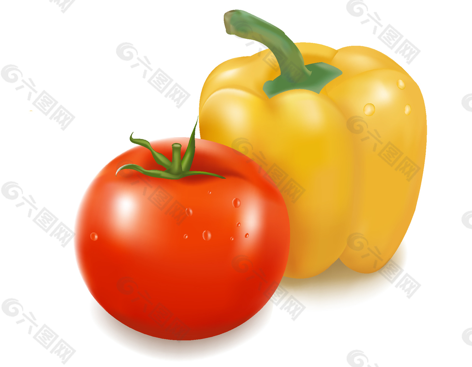 番茄与彩椒矢量图