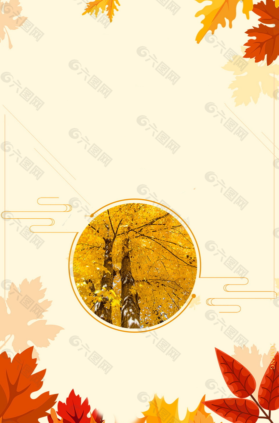 秋季主题枫叶杏树背景