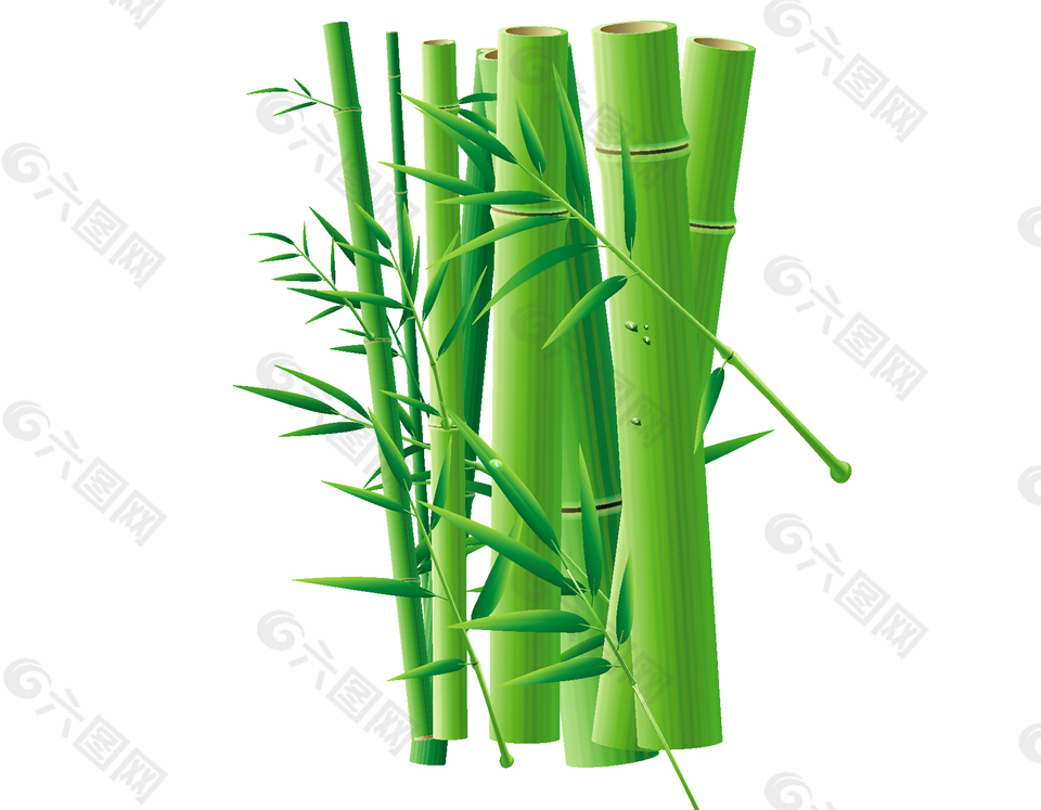 清新绿色竹子元素