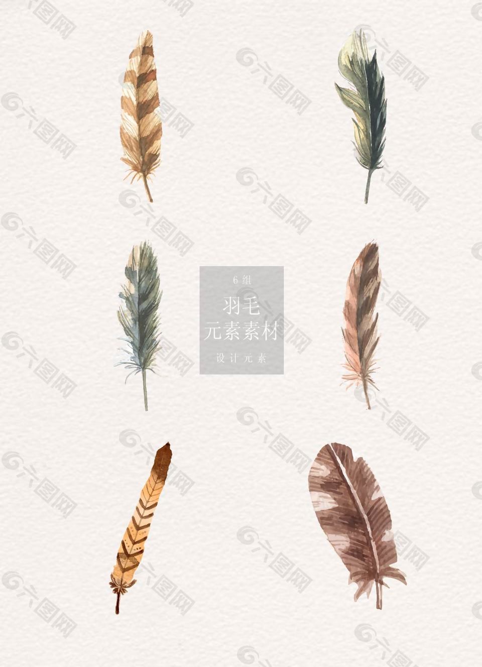 手绘矢量羽毛元素素材