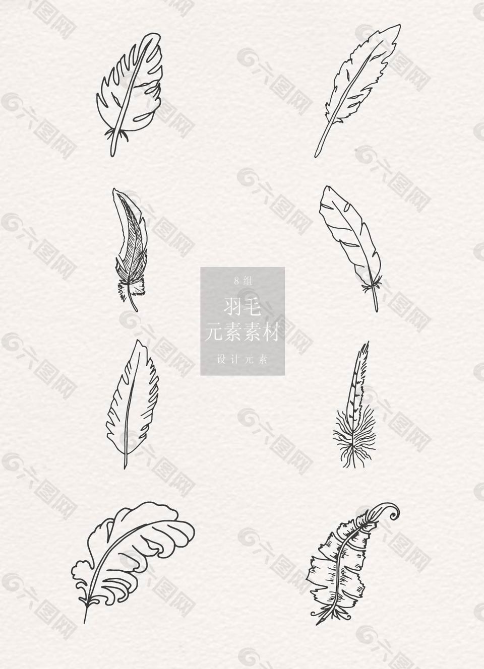 手绘简笔画羽毛素材