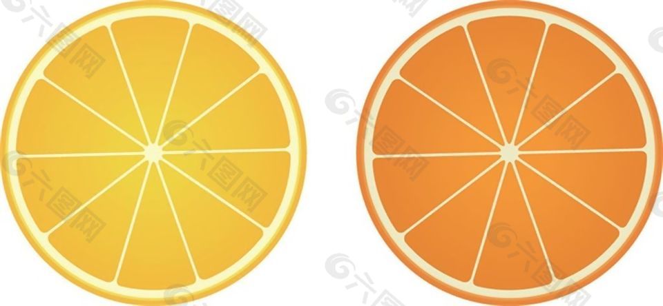 两色橙子矢量素材
