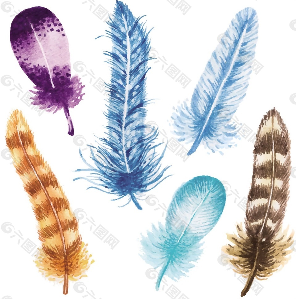 多款不同颜色的羽毛矢量素材
