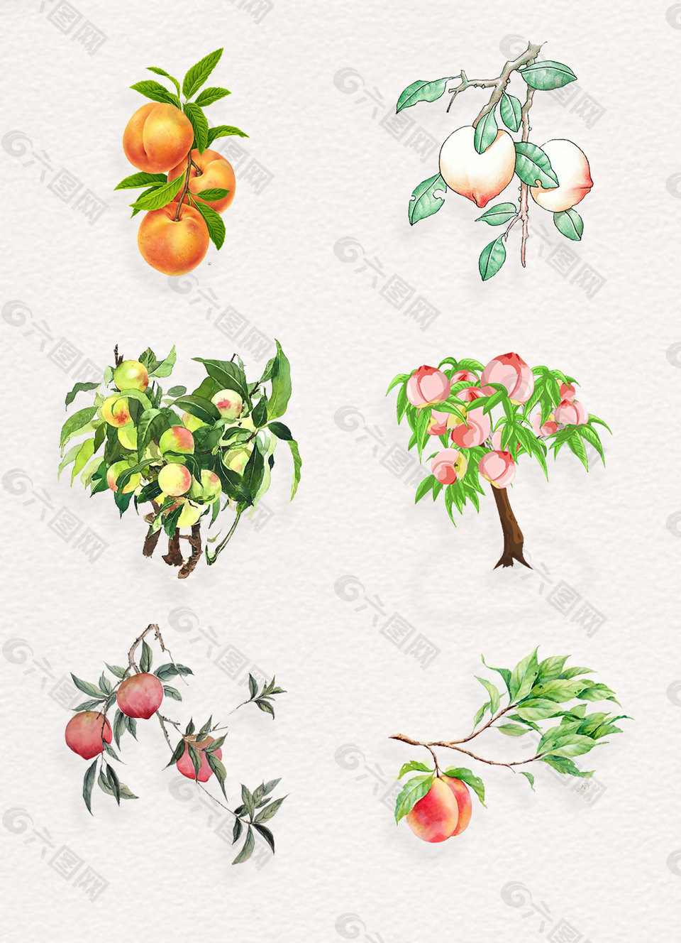 水彩手绘桃子树png图片