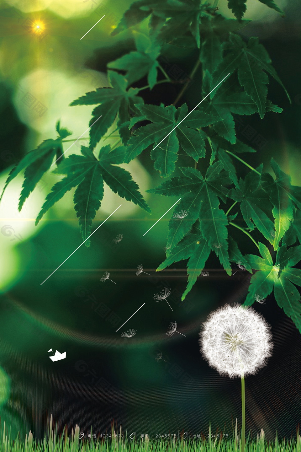 唯美绿色阳光权吉蒲公英背景素材