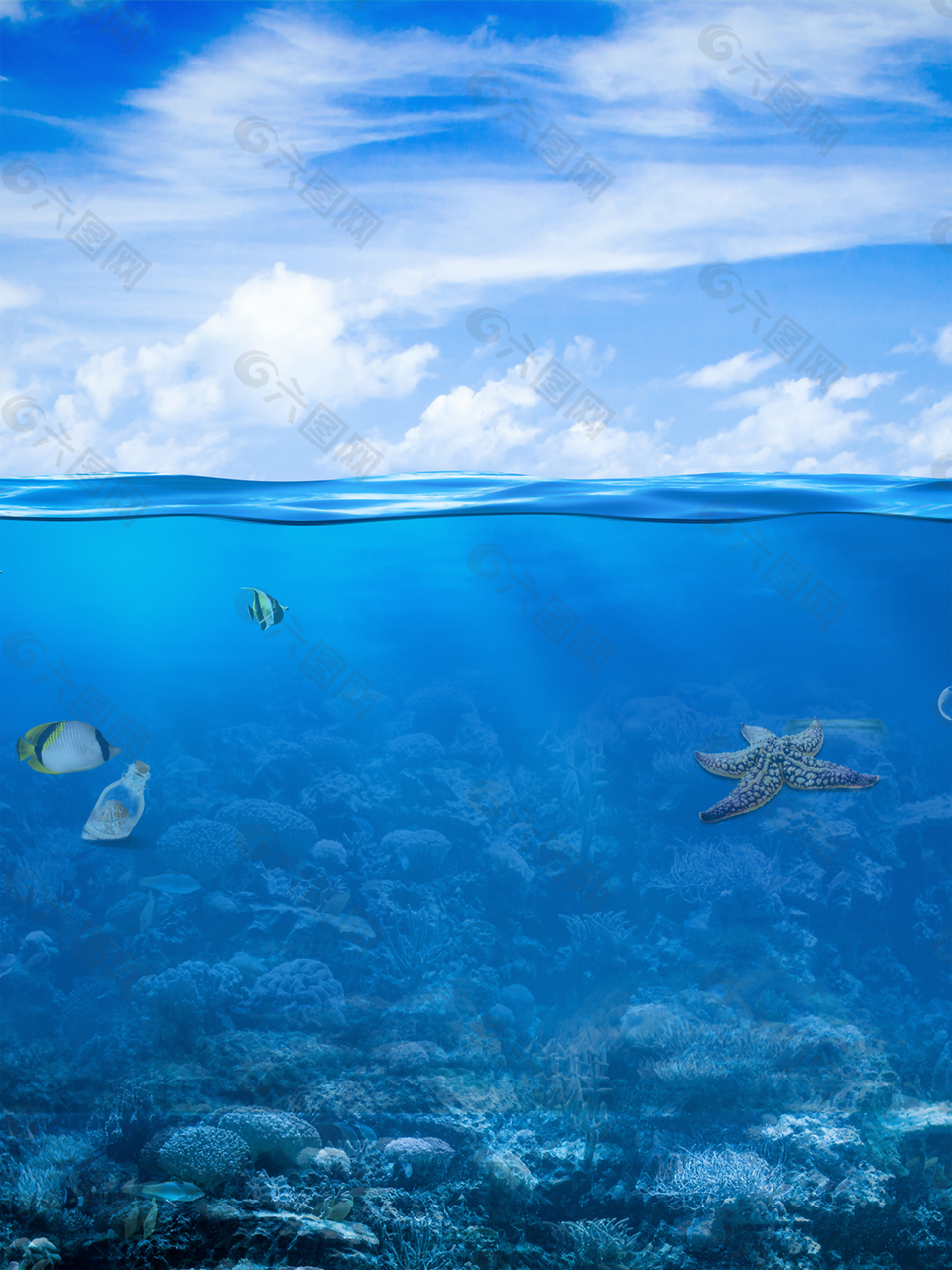 蓝天白云风景海水海面鱼类动物背景