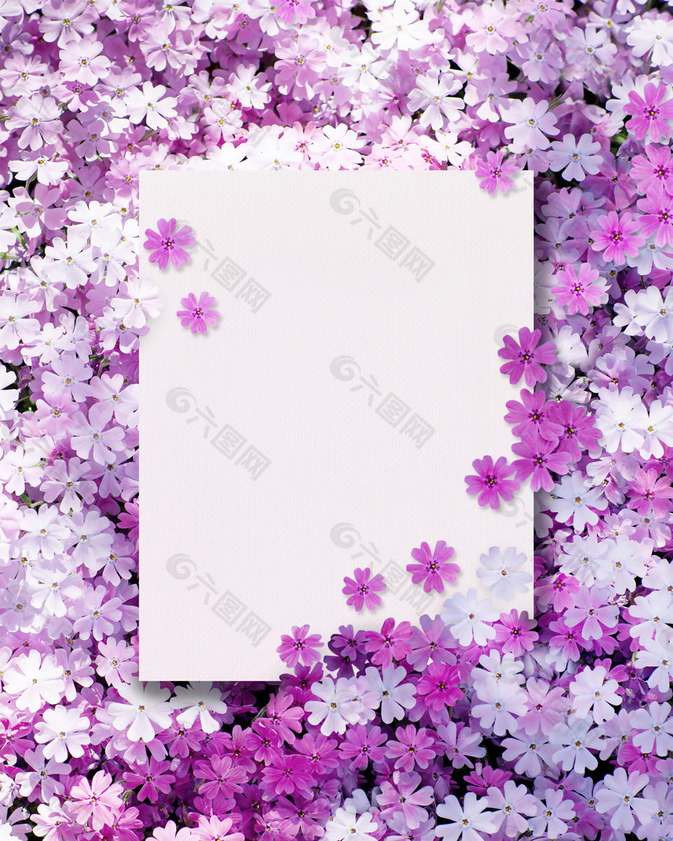 紫色时尚花朵背景