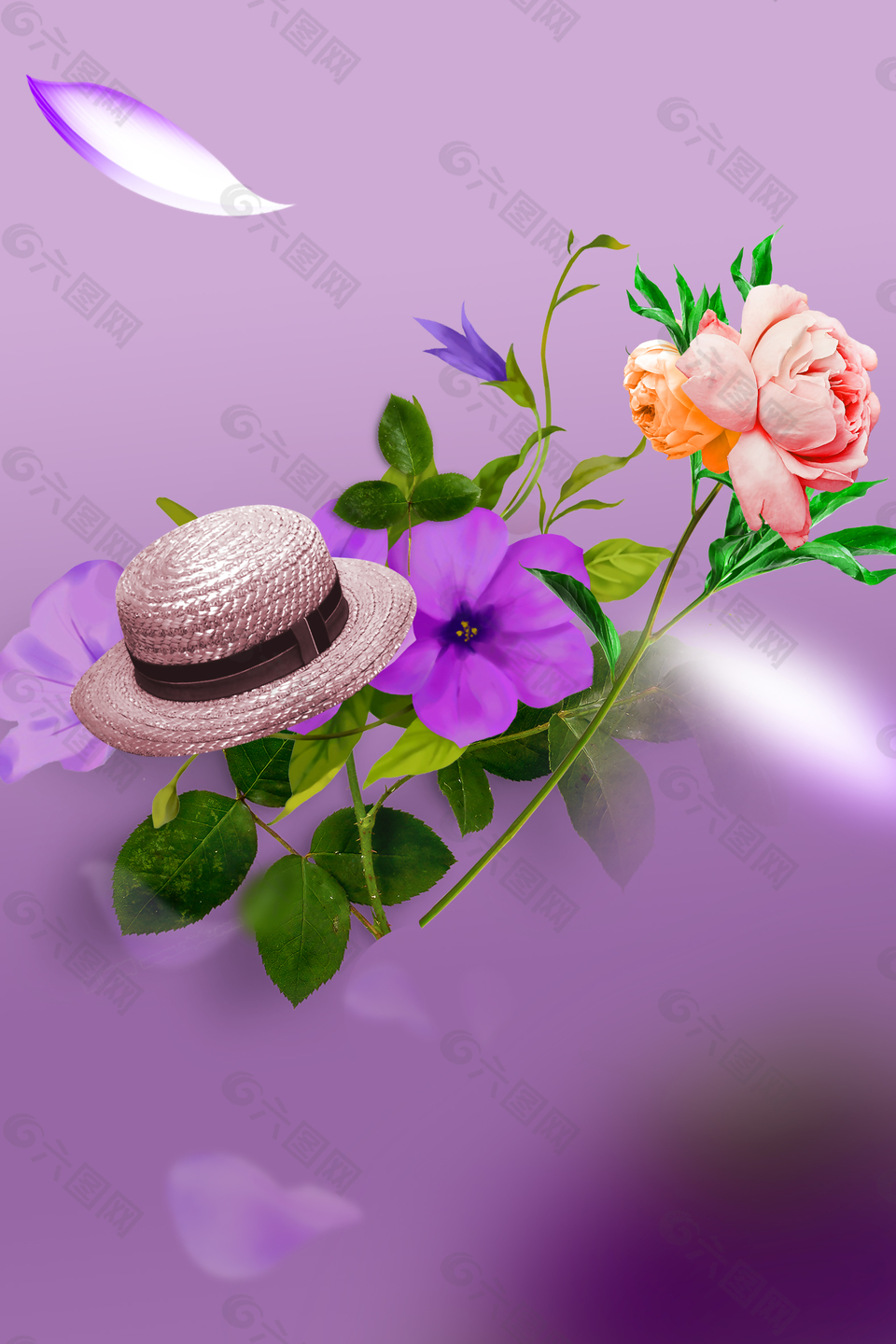 紫色夏天花朵背景