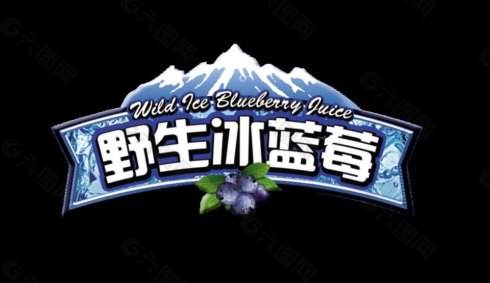 野生冰蓝莓艺术字字体设计