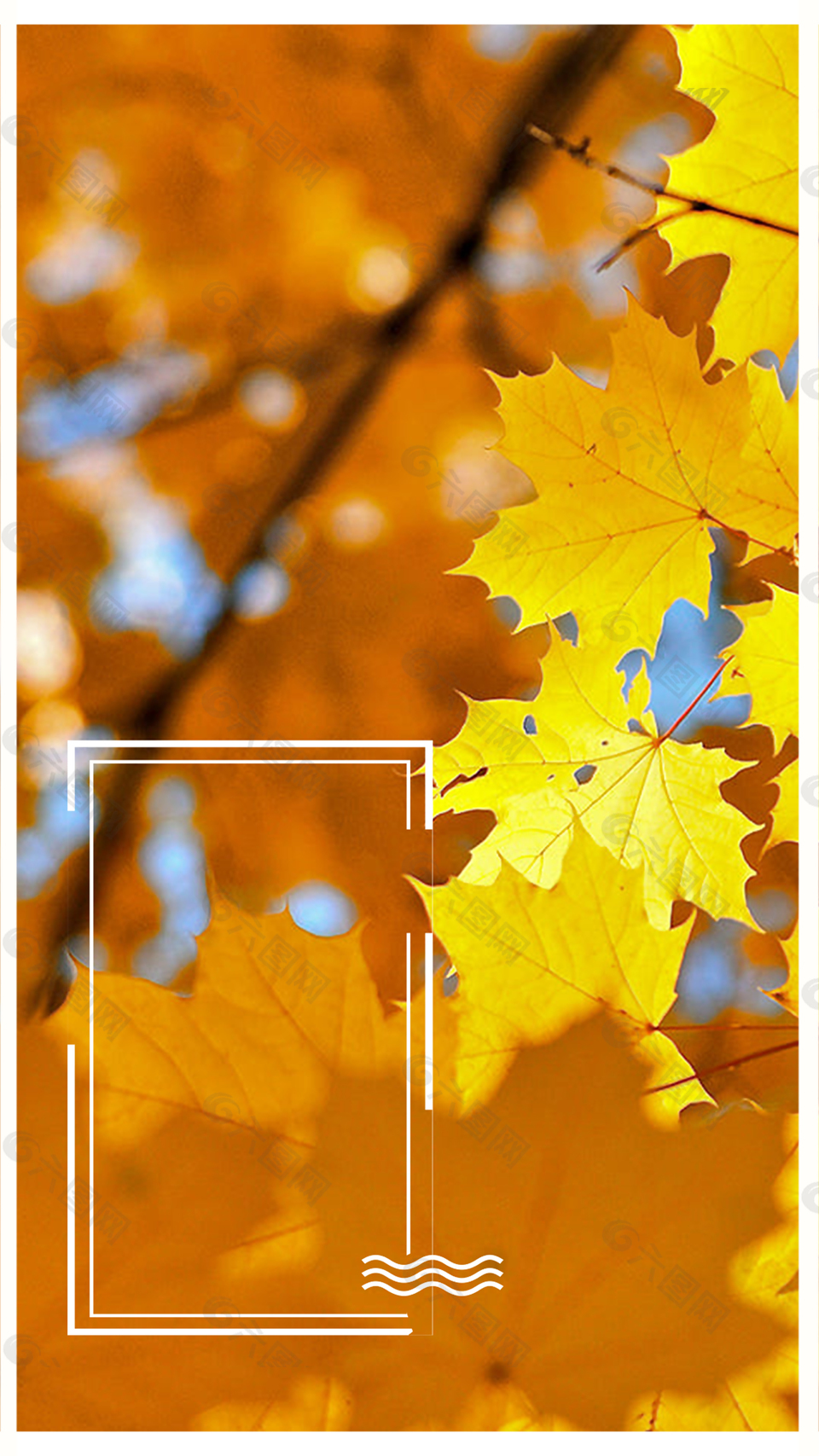 农历节气立秋黄树叶背景