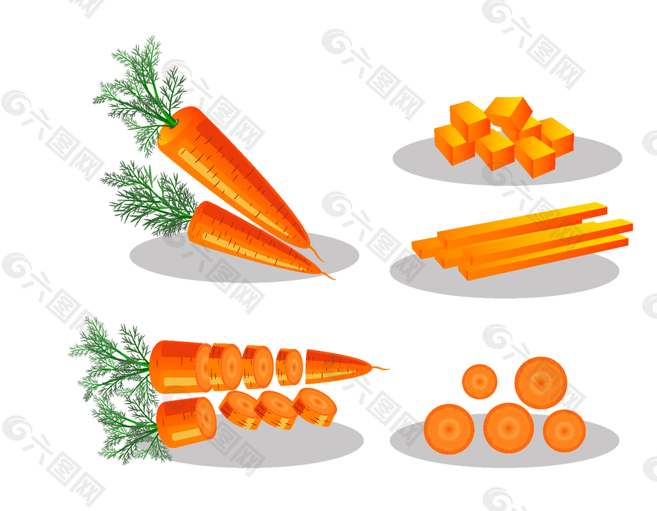 有机蔬菜红萝卜切片矢量图